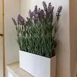 Ottaviano 25 Διαμέρισμα Ρώμη