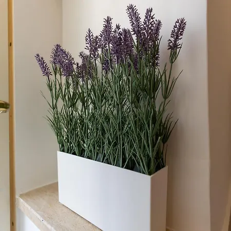 Ottaviano 25 شقة روما
